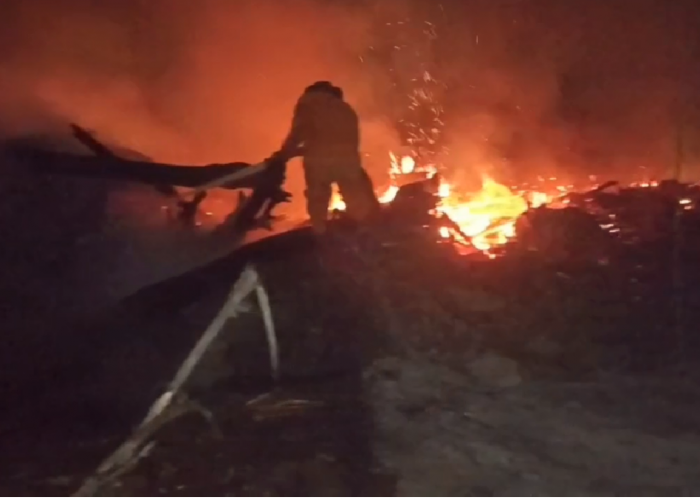 Dampak Karhutla di Batang Hari, Luas Hutan dan Lahan Terbakar Capai 1.616 Hektare