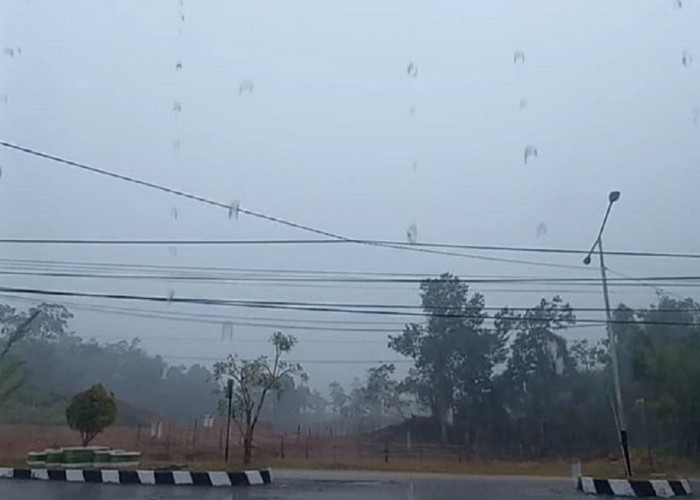 Sarolangun Diguyur Hujan, Warga Harap Kabut Asap Jambi Hilang