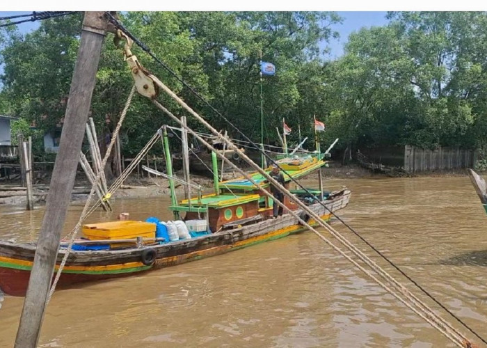 Aktivitas Nelayan di Kuala Tungkal Berjalan Normal, Harga Ikan Masih Stabil