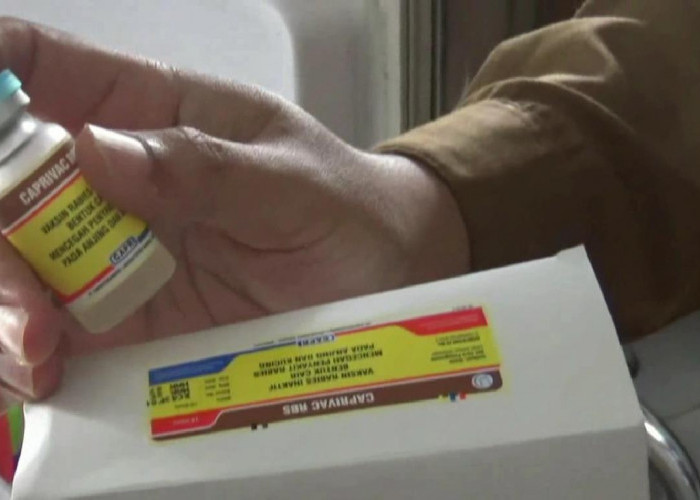 Cegah Penularan Rabies, Pemkab Batang Hari Siapkan 600 Dosis Vaksin