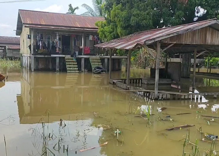 21 TPS Danau Sipin Dipindahkan Karena Terendam Banjir