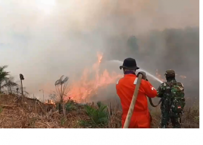 Tahura Batang Hari Kembali Terbakar, Enam Hektare Kawasan Hutan Hangus