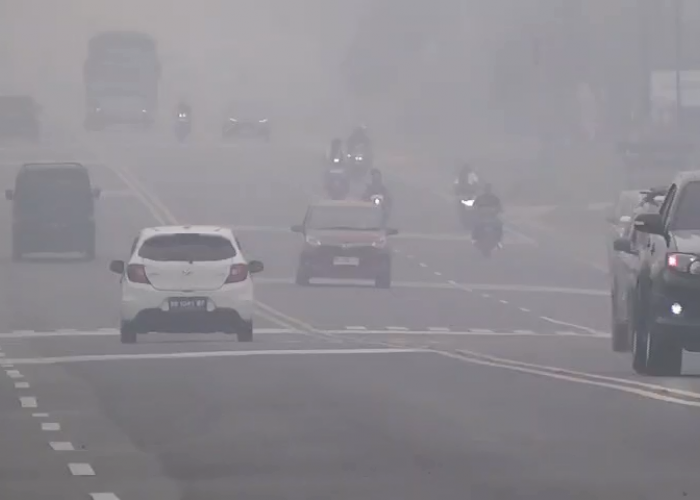 Kabut Asap Kepung Muaro Jambi, 4.065 Warga Terserang ISPA