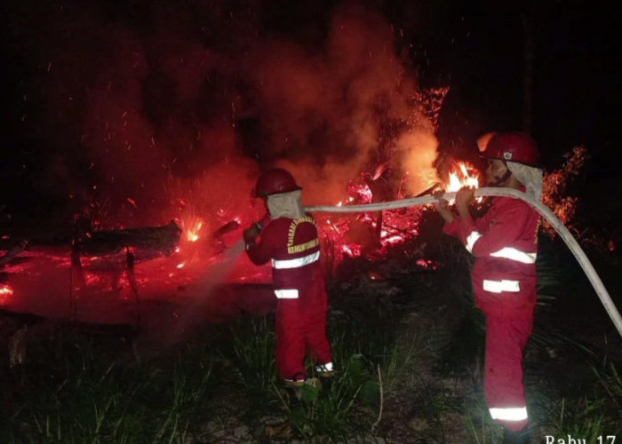 29 Titik Api Akibat Kebakaran Lahan Ditemukan di Batang Hari