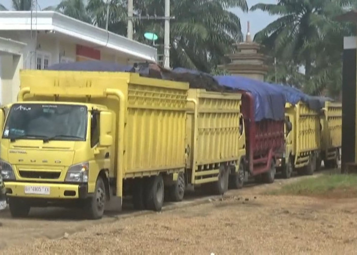 Pemerintah Masih Tutup Angkutan Batu Bara Jalur Darat, 5 Unit Truk Batu Bara Tetap Saja Nekat Melanggar