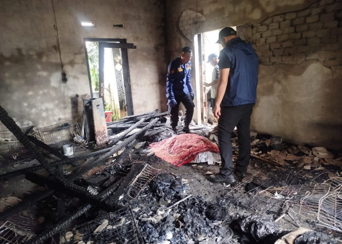 Lansia Tewas dalam Kebakaran Rumah di Muaro Jambi, Diduga Akibat Korsleting Listrik