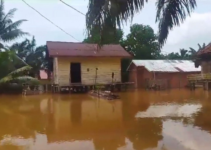 Dampak Banjir Bandang, Hampir 1.000 Rumah Warga di Kecamatan Pauh Terendam 
