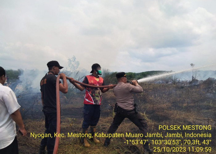 2 Hekatre  lahan di Mestong Hangus Terbakar 