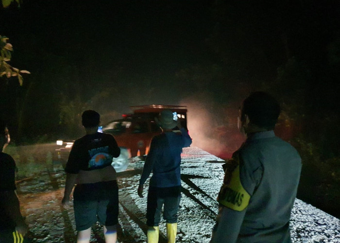 Dua Hotspot Terdeteksi, Lahan Seluas 2 Hektare di Pelepat Bungo Terbakar