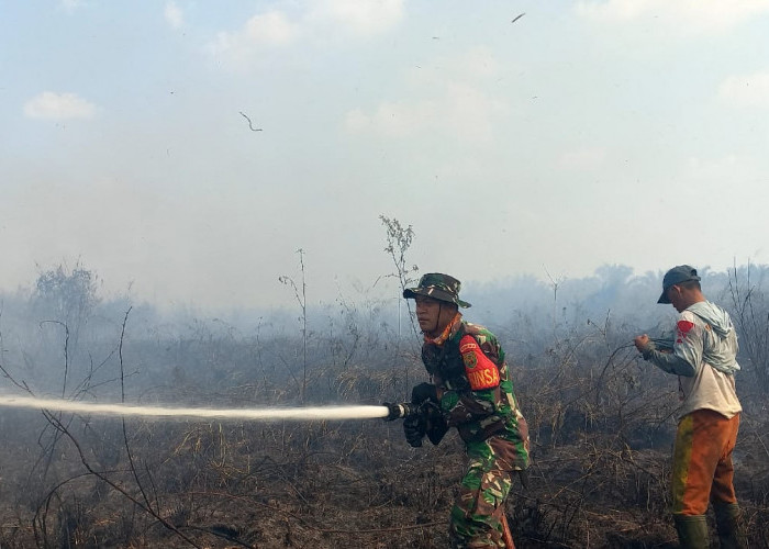 Karhutla di Pudak, 7 Hektar Lahan Warga Hangus Terbakar