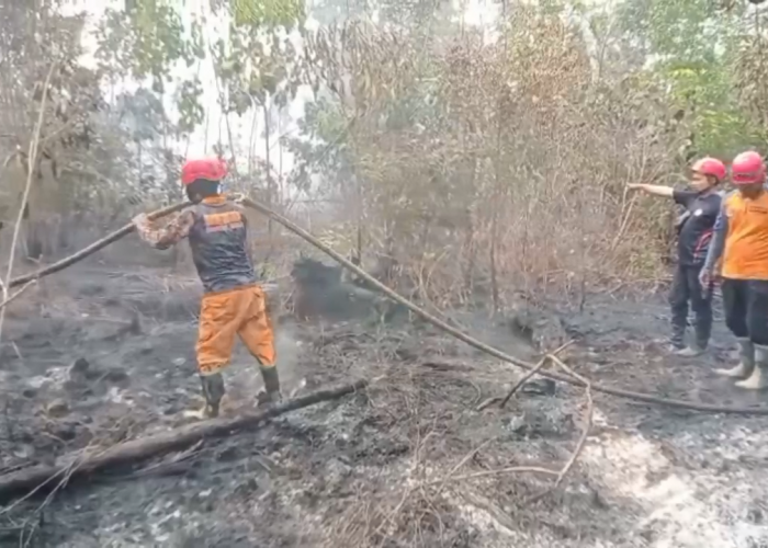 Siaga Karhutla Luasan Lahan Terbakar Di Tebo Capai 512 Hektare