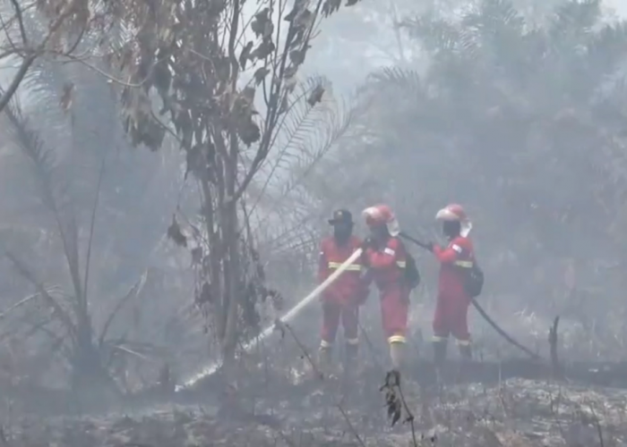 Karhutla Belum Reda, Al Haris Sebut Hotspot Jambi Capai 600 Titik