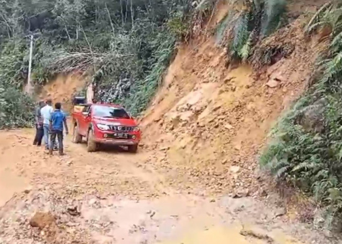 Jalan Provinsi di Batang Asai Rawan Longsor, Pemerintah Diminta Bangun Bronjong Penahan Tebing