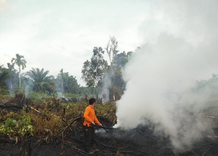 Musim Kemarau Mengancam, BPBD Tanjabtimur Minta Perusahaan Siapkan Cadangan Air Untuk Antisipasi Karhutla