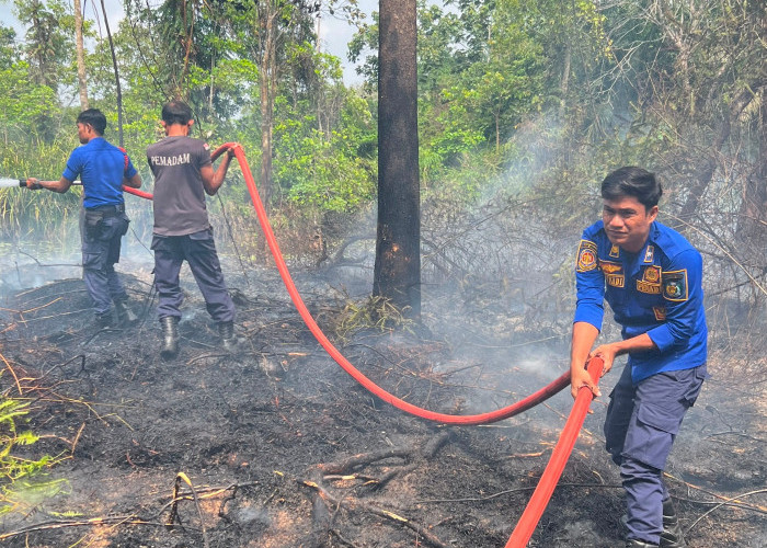 Kebakaran Lahan Nyaris Membakar Pemukiman Warga di Tebo