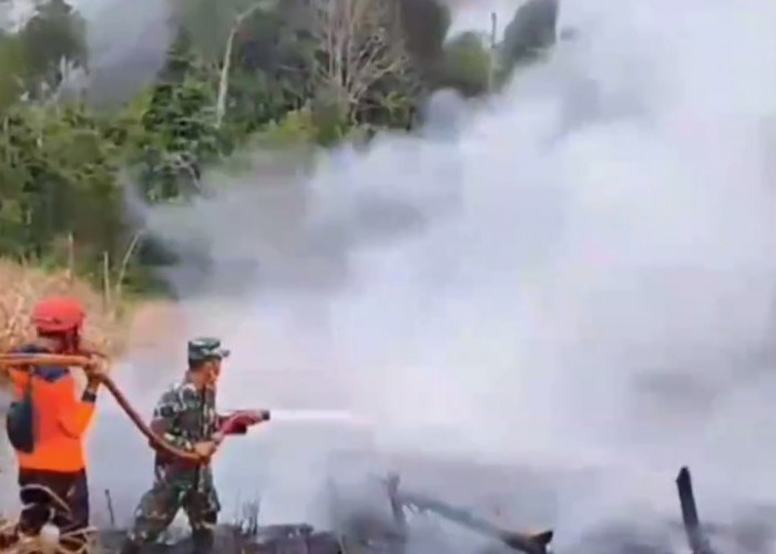 Kasus Karhutla di Batanghari Paling Banyak di Muara Bulian, Lahan Terbakar Mencapai 212,157 Hektar