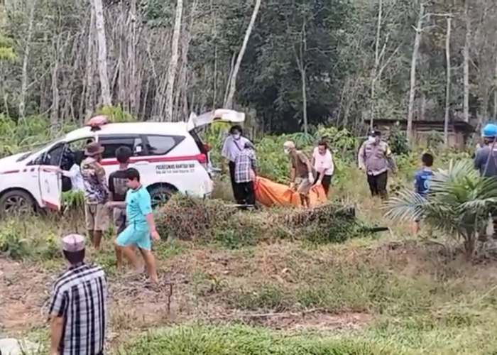 Warga Dusun Sirih Sekapur Bungo Heboh Temukan Mayat Laki-Laki Membusuk di Tengah Kebun