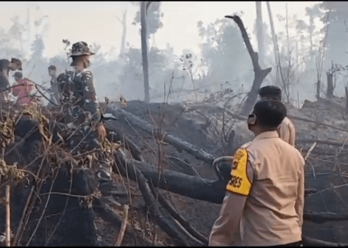 Sepanjang 2023, Kejati Tangani 6 Kasus Karhutla Jambi