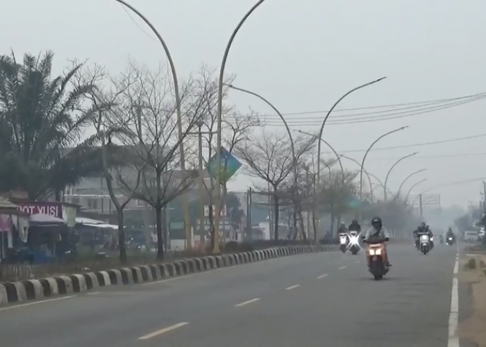 Karhutla Makin Parah, ISPU Muaro Jambi Tembus 401 dan Masuk Kategori Berbahaya