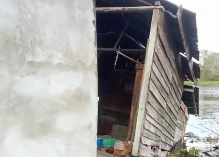 6 Rumah di Desa Sungai Bungur Roboh Akibat Diterjang Rumput Kumpeh