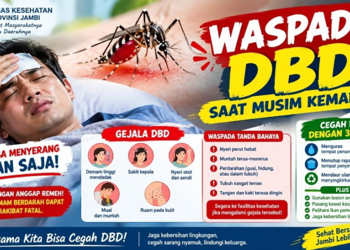 Dinkes Provinsi Jambi Imbau Masyarakat Waspadai Dbd Saat Musim Kemarau