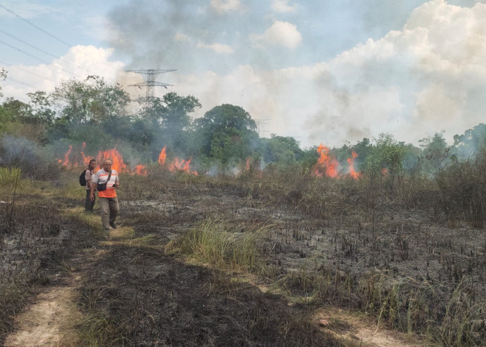 Kebakaran Terjadi Lagi di Muaro Jambi, Lahan Kosong Seluas 1 Hektar Terbakar