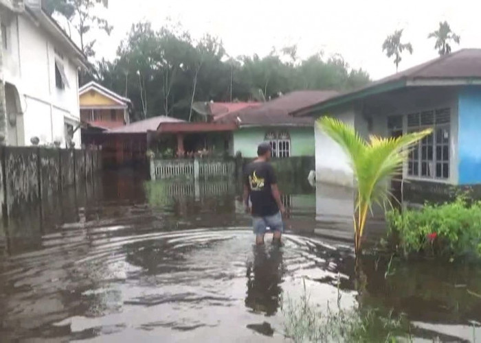 Diguyur Hujan Deras, Belasan Rumah Warga di Muara Bulian Terendam Banjir