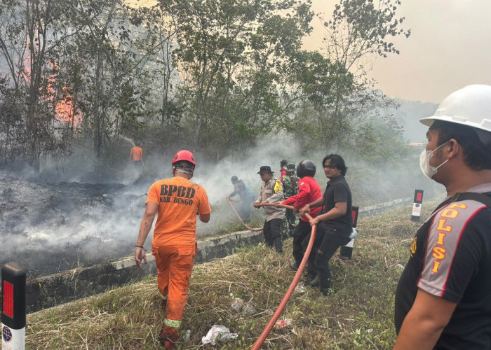 Karhutla Kembali Terjadi di Bungo, 1 Hektare Semak dan Kebun Karet Terbakar