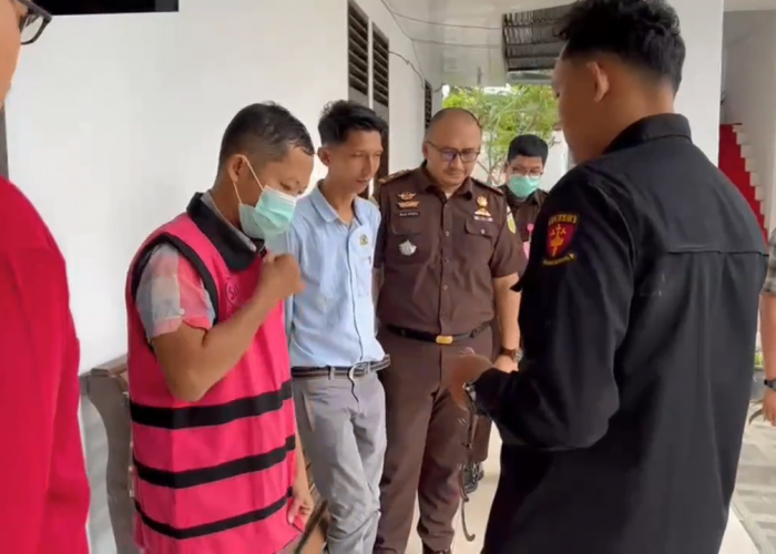 Dugaan Korupsi Pupuk Subsidi Batang Hari, Direktur Distributor Resmi Jadi Tersangka