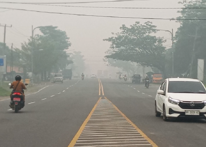 Kasus ISPA di Kota Jambi Tembus 10.151, Kabut Asap Karhutla Jadi Sorotan