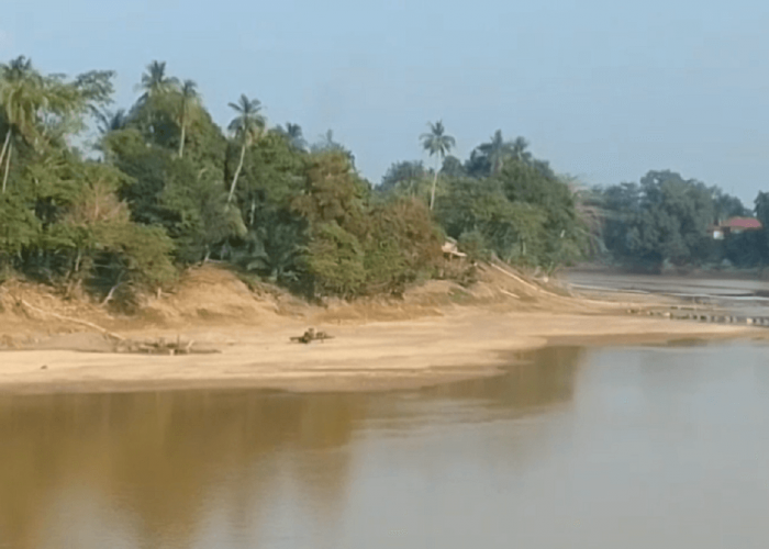 Dampak kemarau, Sungai Batanghari Mulai Mengering