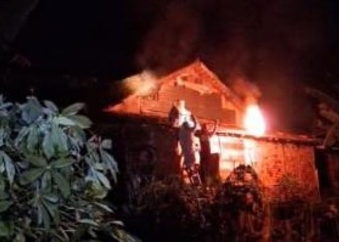 Bersarang di Atap Rumah Warga, Petugas Damkar Batang Hari Evakuasi Sarang Tawon Vespa