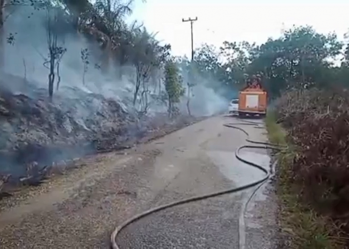 Diduga Akibat Puntung Rokok, Lahan Sawit Seluas Setengah Hektar Habis Terbakar