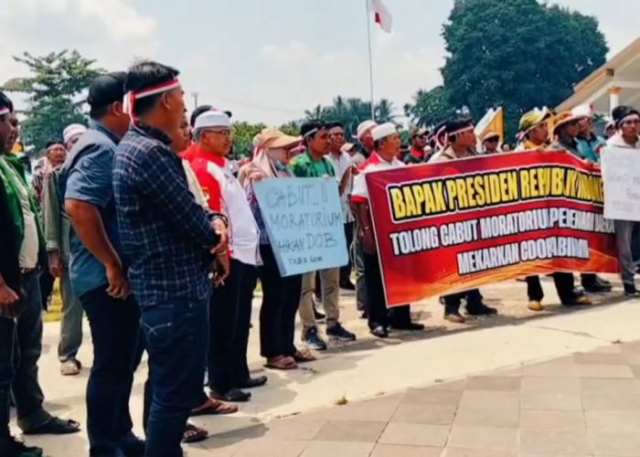 Aksi Tabir Raya, Ratusan Warga Tabir Raya Geruduk Kantor Bupati Merangin