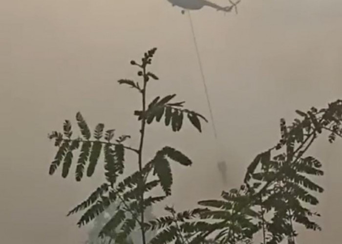 2 Heli Water Bombing Diterjunkan Padamkan Kebakaran Lahan di Desa Ramin