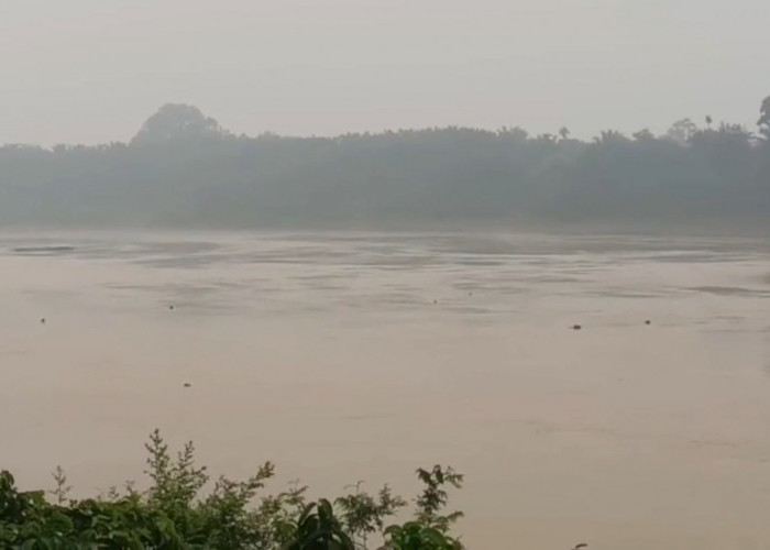 Aktivitas Manusia Picu Pencemaran Sungai Batanghari, Kualitas Air Jadi Sorotan