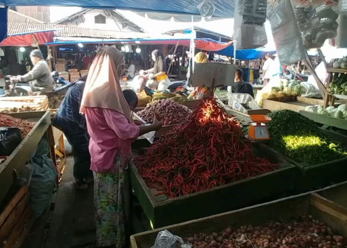 Harga Cabai Merah di Sarolangun Rp 70 Ribu/Kg, Pedagang Minta Pemda Cari Solusi