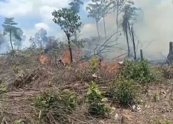 Darurat Karhutla Lahan Seberang Desa Mangun Jayo Kembali Terbakar