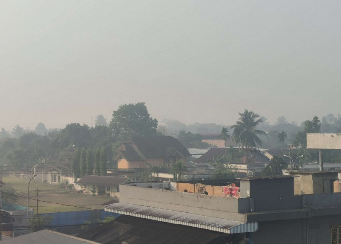 Kabut Asap Jambi Kembali Pekat pada Selasa Pagi 17 Oktober 2023, Polusi Udara Terparah Nomor 4 di Indonesia