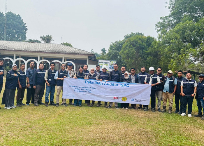 Perkuat Tata Kelola Sawit Berkelanjutan, 19 Karyawan PTPN IV Regional IV Lulus Akreditasi Auditor ISPO