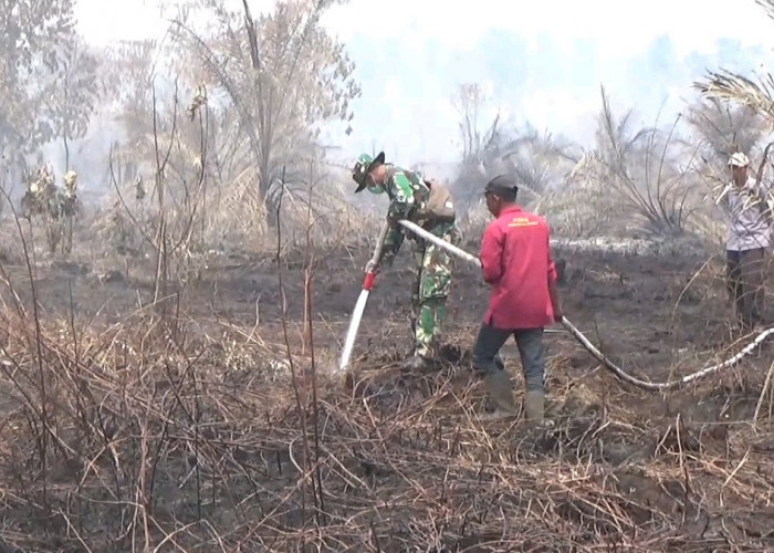 HOTSPOT MELONJAK, HAMPIR 200 HEKTARE LAHAN TERBAKAR DI TANJAB TIMUR