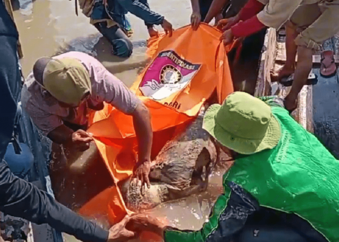 Warga Kerinci Geger Temukan Jasad Seorang Pria Tanpa Identitas Mengapung Di Sungai Batang Merao 