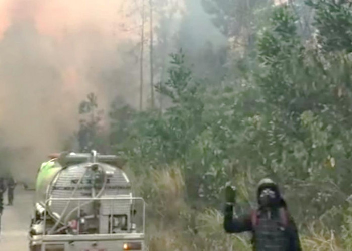 9 Titik Api Kepung Batang Hari, 34,5 Hektare Hutan dan Lahan Perkebunan Terbakar dalam Sehari