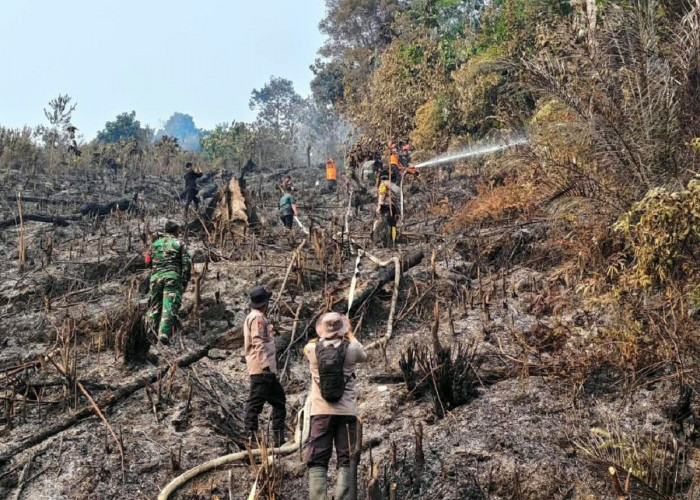 Polres Merangin Berjibaku Padamkan Api Di Bukit Telasih, BPBD Propinsi Bantu Turunkan Water Bombing