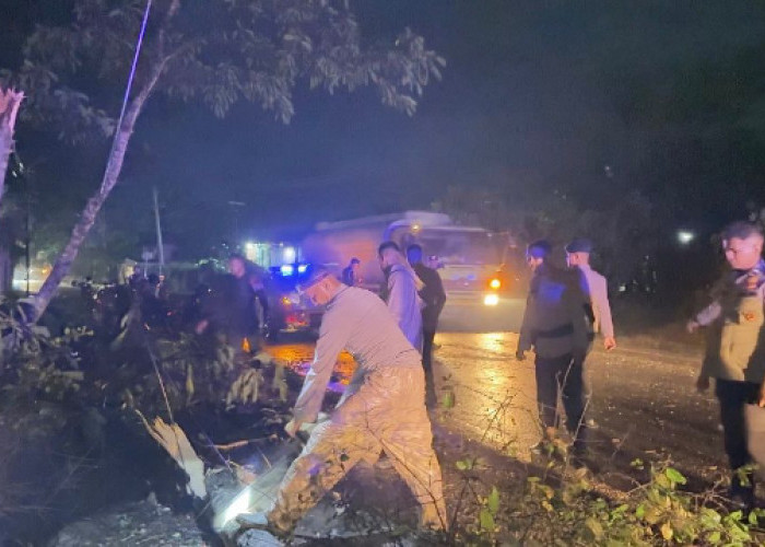 Brimob Polda Jambi Gerak Cepat Evakuasi Pohon Tumbang di Dua Lokasi, Arus Lalu Lintas Kembali Lancar