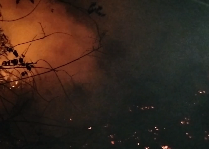 Gambut Sungai Abang Sarolangun Kembali Terbakar, 30 Hektare Hangus dalam Dua Hari