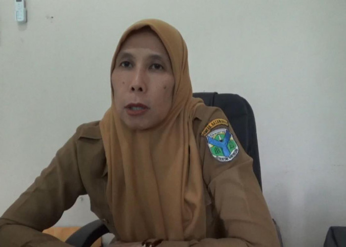 2026, Sebanyak 250 Orang PNS di Batang Hari Akan Pensiun