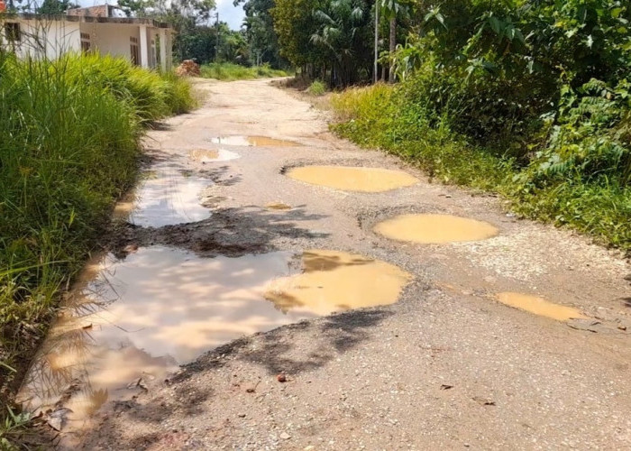 Diduga Karena Kekurangan Dana, Perbaikan Jalan di Desa Pulau Betung Tertunda