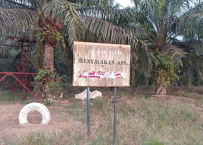 BPBD Tanjabtim Siapkan Langkah Strategis Hadapi Ancaman El Nino “Godzilla”