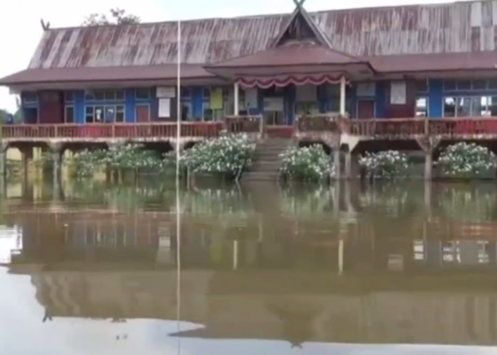 46 SD di Batanghari Terendam Banjir, Aktivitas Belajar Mengajar Terpaksa Diliburkan